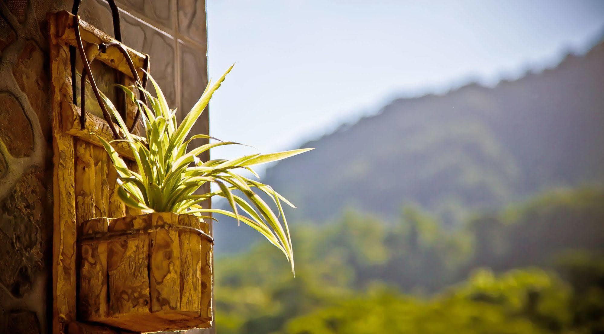 Pousada Pataxo Hotel Ubatuba Exterior photo